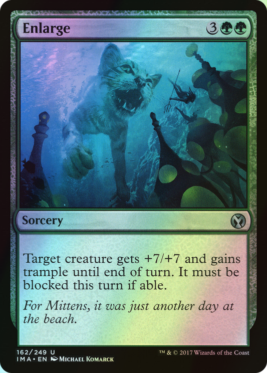 Enlarge (IMA) #162 [EN/F]