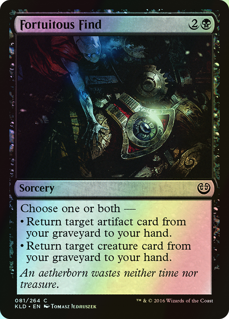 Fortuitous Find (KLD) #81 [EN/F]