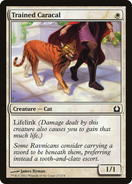 Trained Caracal (RTR) #27 [EN/N]