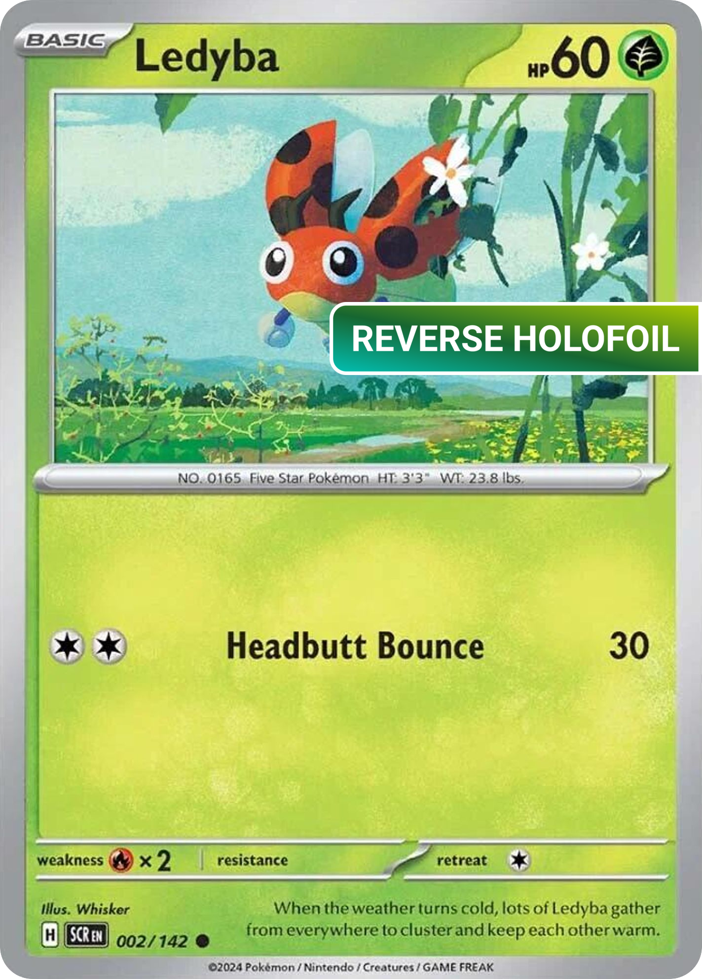 Ledyba (SCR) #002 [EN/R]