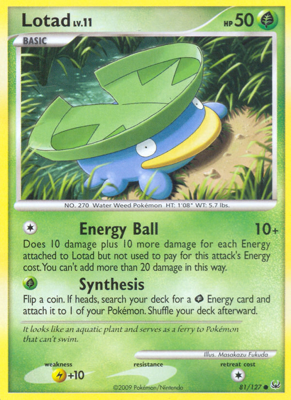 Lotad (PL) #81 [EN/N] s/o