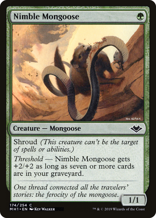 Nimble Mongoose (MH1) #174 [EN/N]