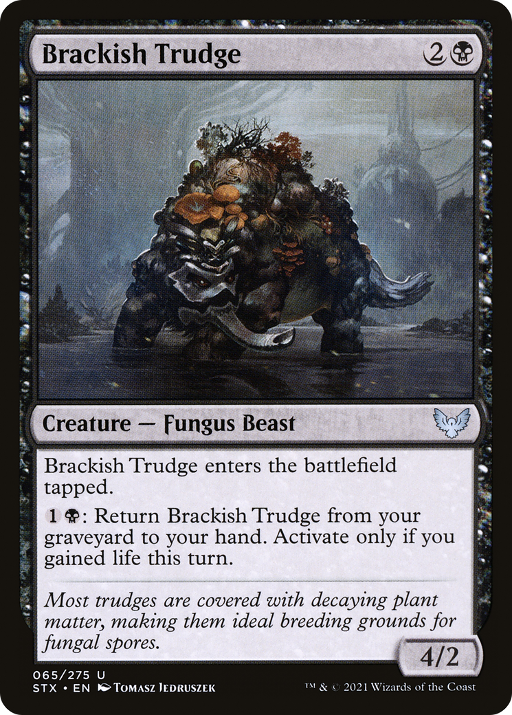 Brackish Trudge (STX) #65 [EN/N]