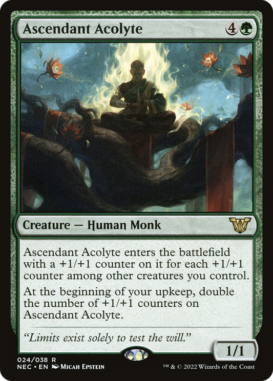 Ascendant Acolyte (NEC) #24 [EN/N]