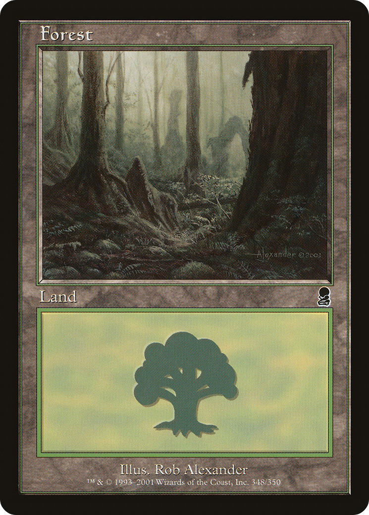 Forest (ODY) #348 [EN/N]