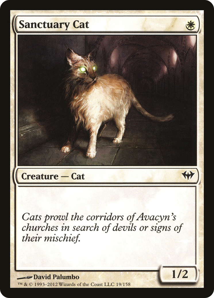 Sanctuary Cat (DKA) #19 [EN/N] s/o