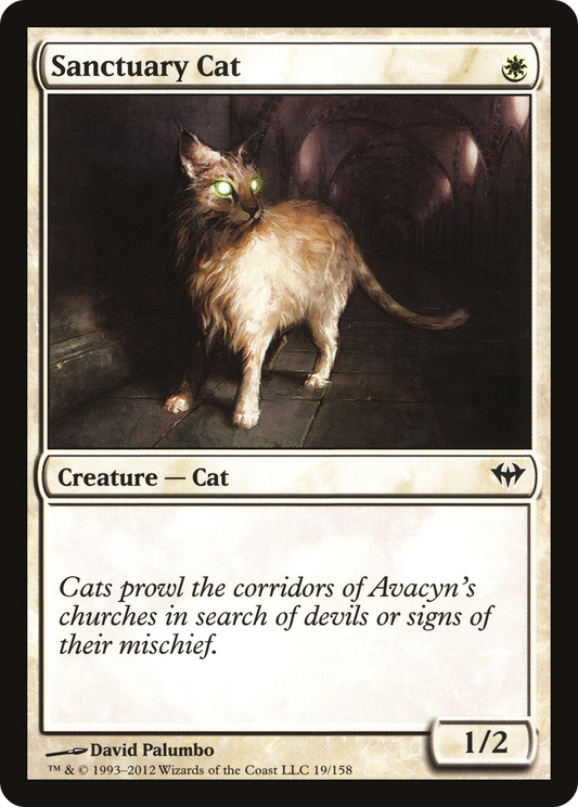 Sanctuary Cat (DKA) #19 [EN/N] s/o
