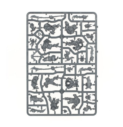 89-61 Warhammer Age of Sigmar Orruk Warclans Orruk Ardboys