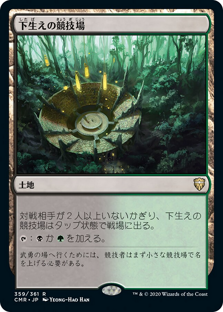 Undergrowth Stadium (CMR) #359 [JA/N]