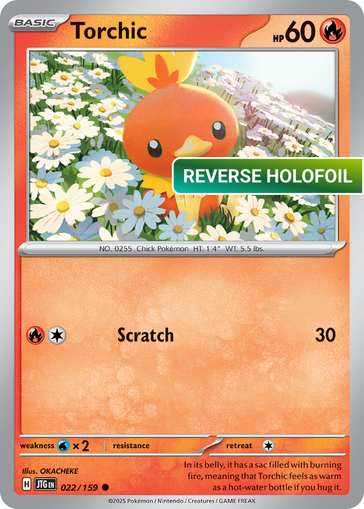 Torchic (JTG) #022 [EN/R] s/o