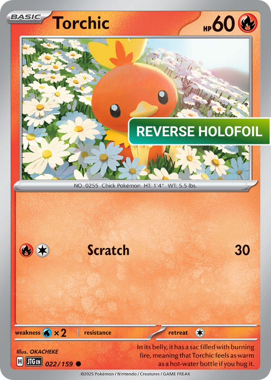 Torchic (JTG) #022 [EN/R] s/o