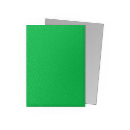 Dragon Shield Dual Matte Standard Sleeves - Apple Green and Silver