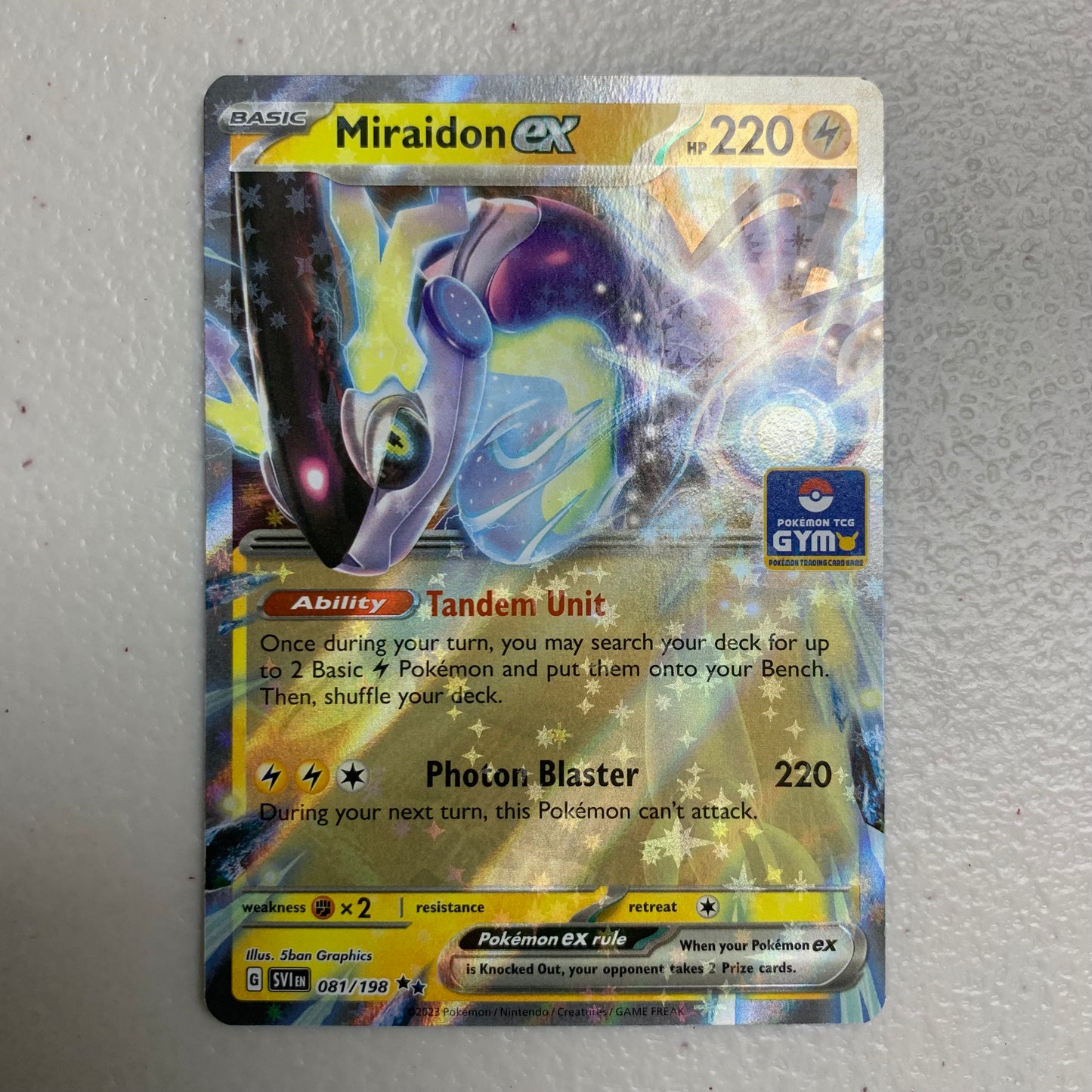 Miraidon ex [Gym] #81 [MP]