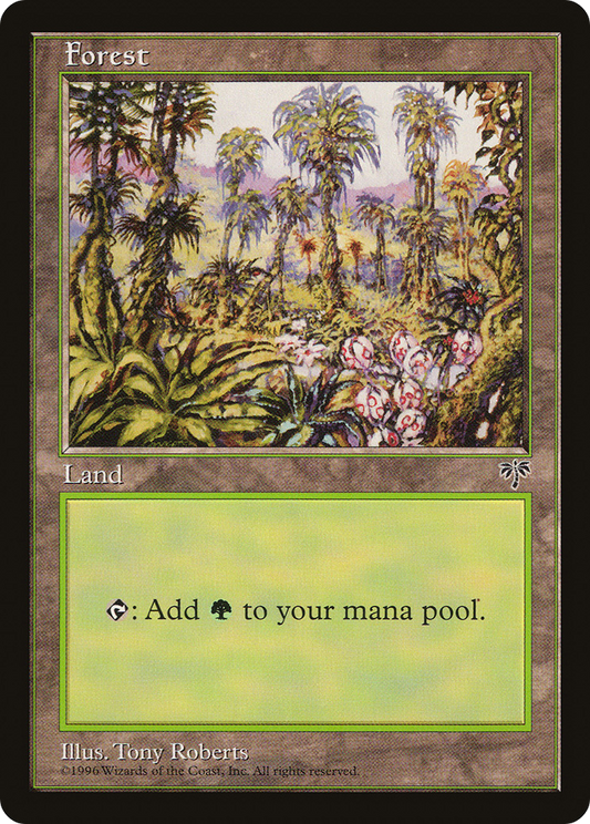Forest (MIR) #347 [EN/N] s/o