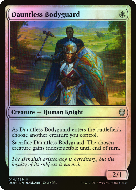 Dauntless Bodyguard (DOM) #14 [EN/F] s/o