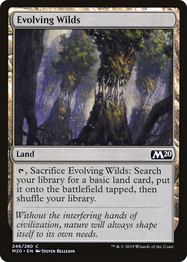 Evolving Wilds (M20) #246 [EN/N]