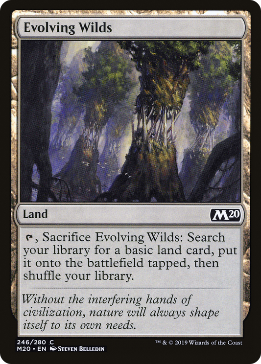 Evolving Wilds (M20) #246 [EN/N]