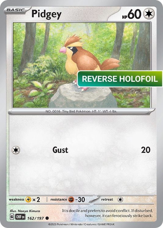Pidgey (OBF) #162 [EN/R] s/o