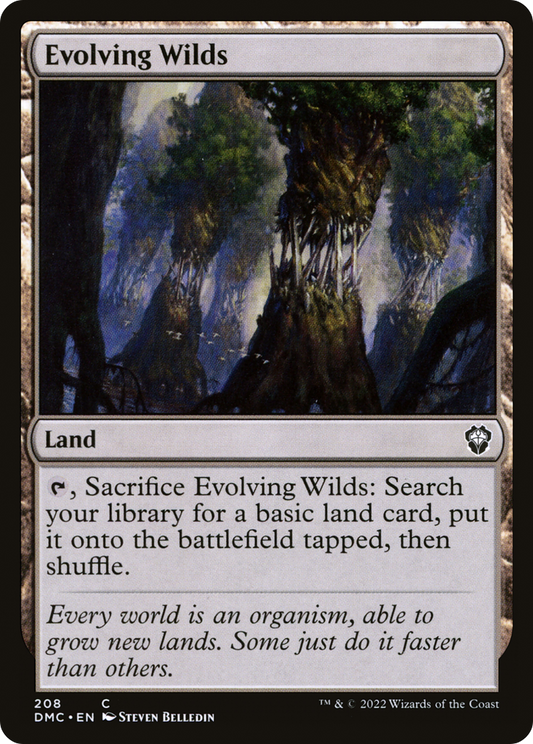 Evolving Wilds (DMC) #208 [EN/N]