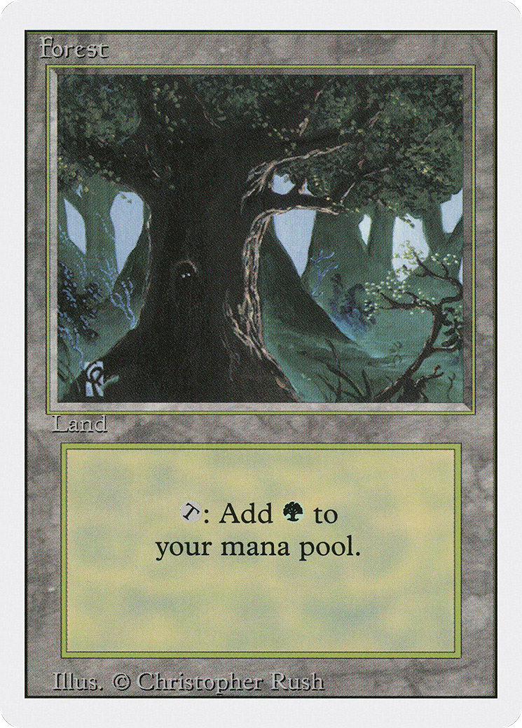 Forest (3ED) #306 [EN/N]