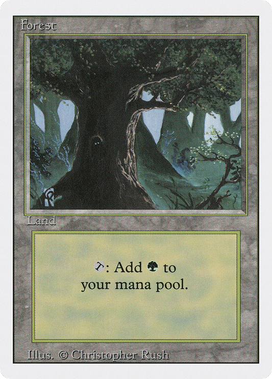 Forest (3ED) #306 [EN/N]