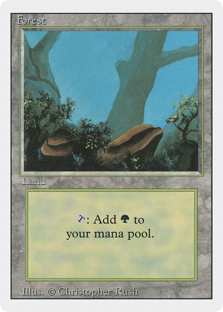 Forest (3ED) #304 [EN/N]