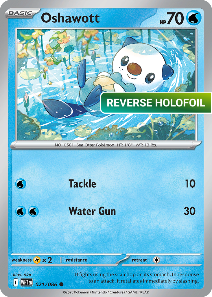 Oshawott (WHT) #21 [EN/R] s/o
