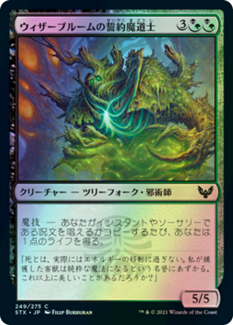 Witherbloom Pledgemage (STX) #249 [JA/F]