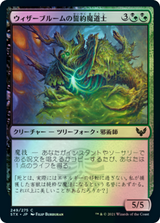 Witherbloom Pledgemage (STX) #249 [JA/F]