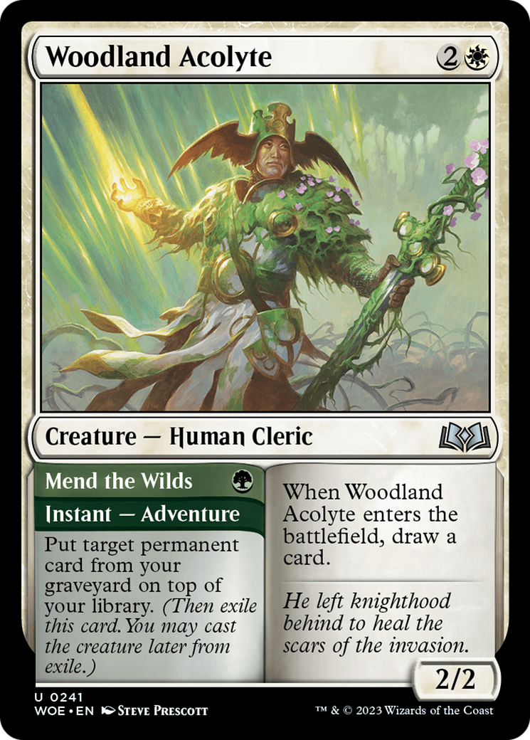 Woodland Acolyte // Mend the Wilds (WOE) #241 [EN/N] s/o
