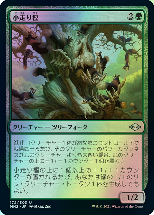 Scurry Oak (MH2) #172 [JA/F] s/o