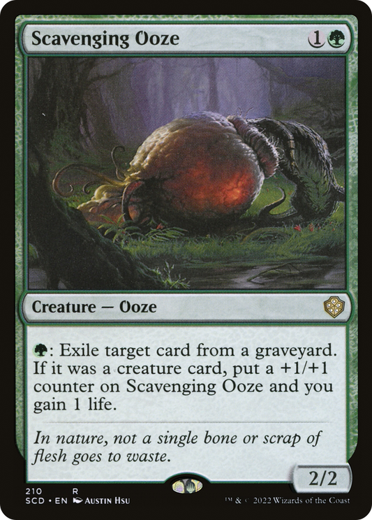 Scavenging Ooze (SCD) #210 [EN/N] s/o