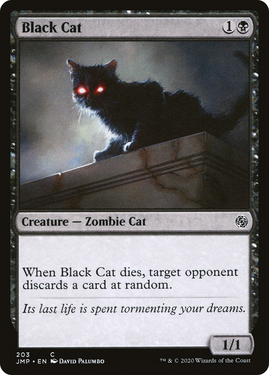 Black Cat (JMP) #203 [EN/N] s/o