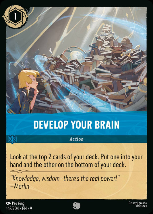 Develop Your Brain (9) #163 [EN/N] s/o