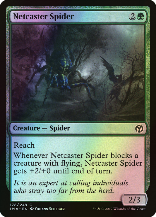 Netcaster Spider (IMA) #178 [EN/F]
