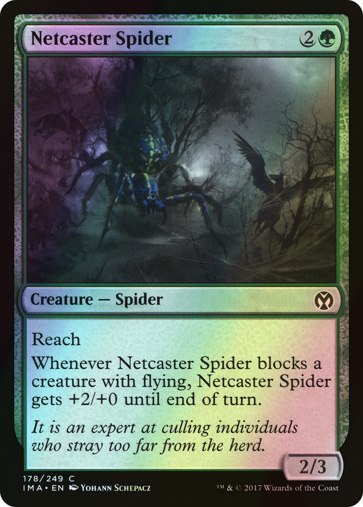 Netcaster Spider (IMA) #178 [EN/F]