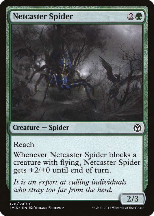 Netcaster Spider (IMA) #178 [EN/N]