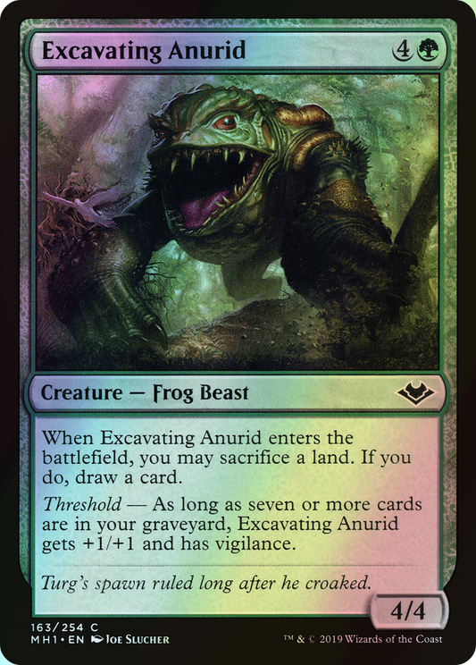 Excavating Anurid (MH1) #163 [EN/F]