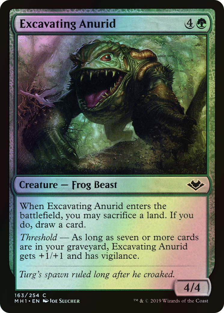 Excavating Anurid (MH1) #163 [EN/F]