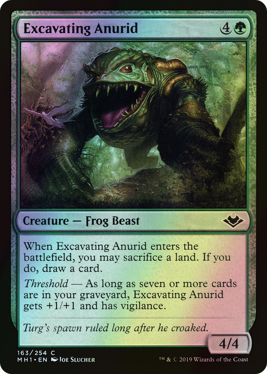 Excavating Anurid (MH1) #163 [EN/F]