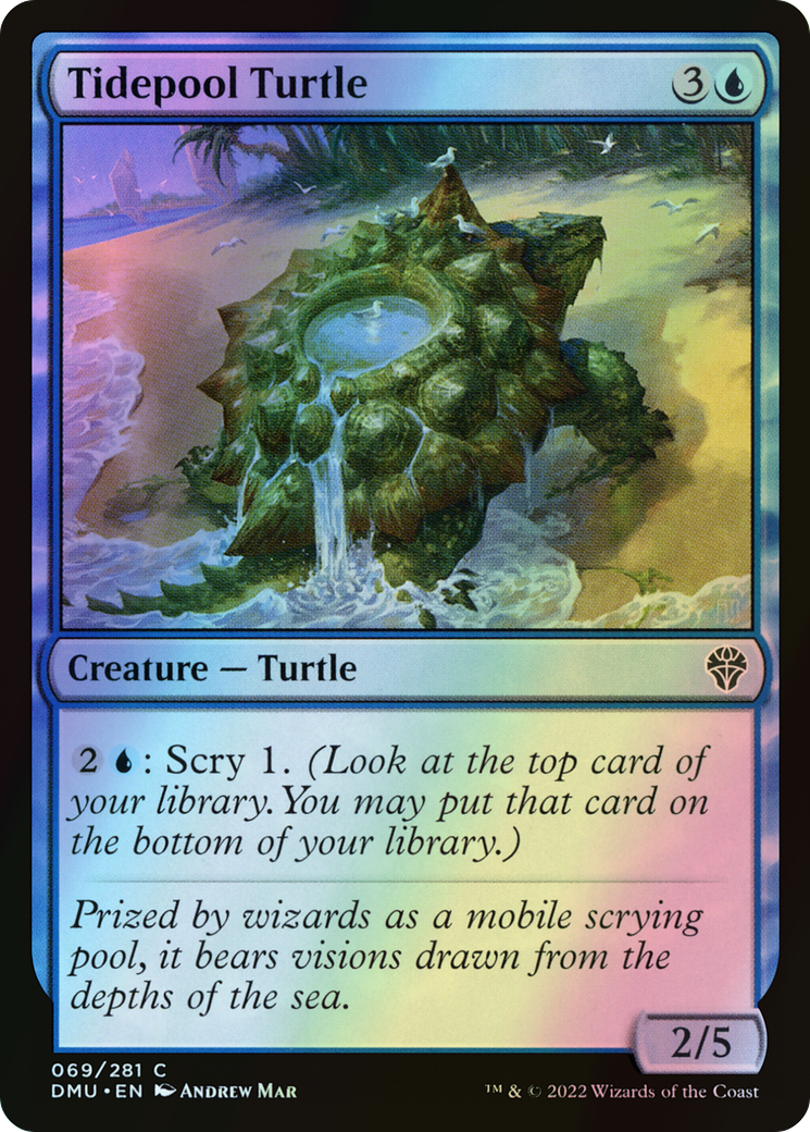 Tidepool Turtle (DMU) #69 [EN/F]