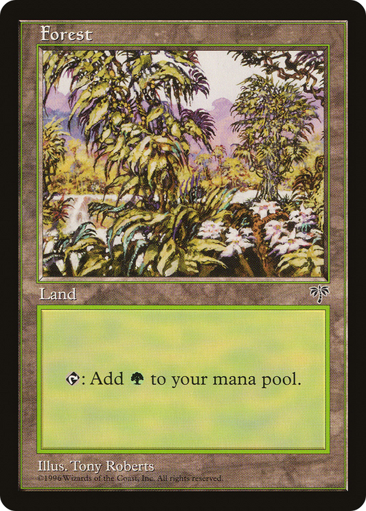 Forest (MIR) #349 [EN/N]