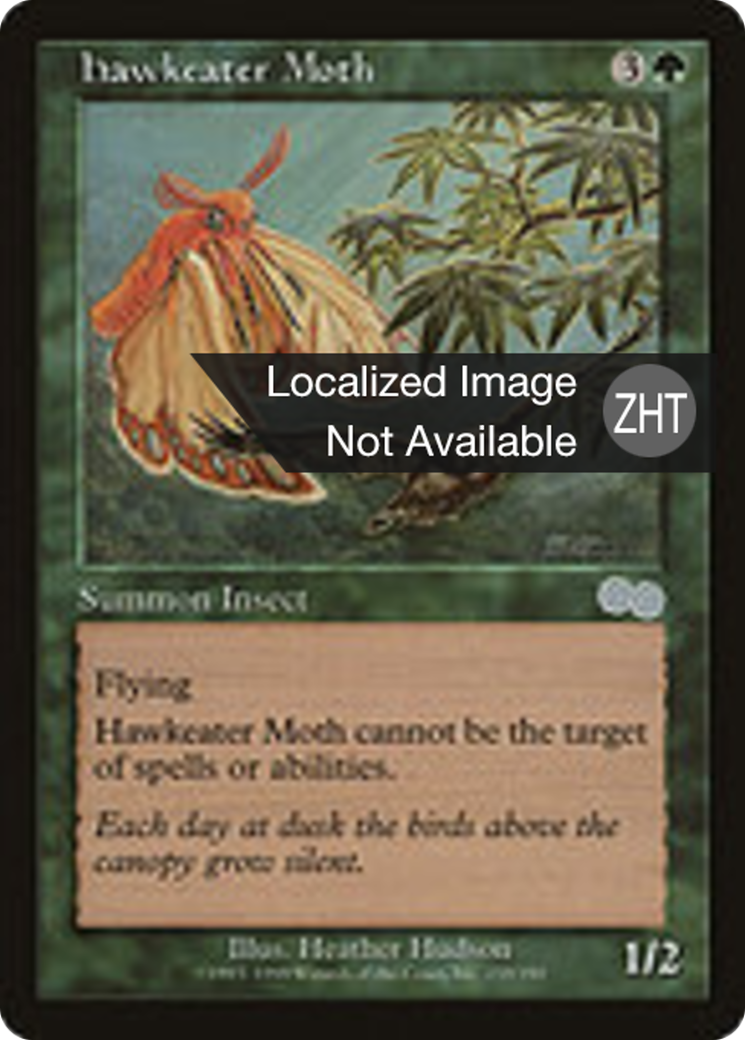Hawkeater Moth (USG) #259 [ZHT/N]