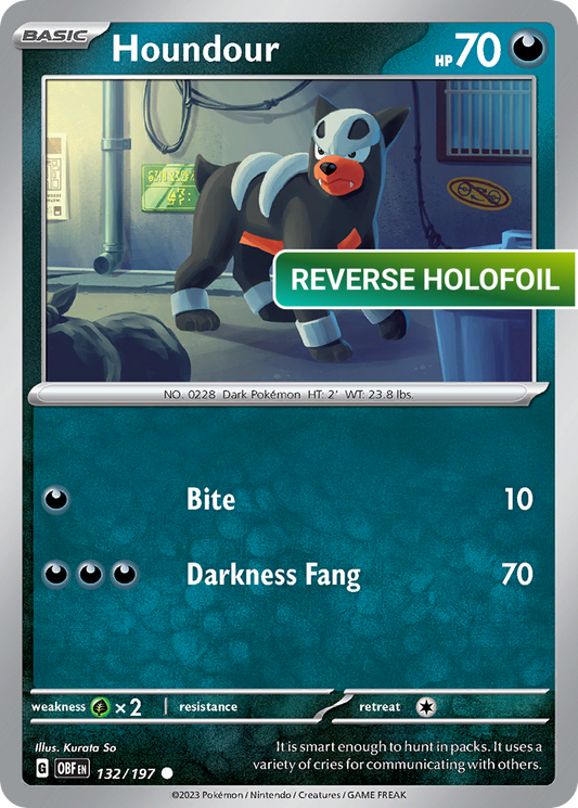 Houndour - 132/197 (OBF) #132 [EN/R] s/o