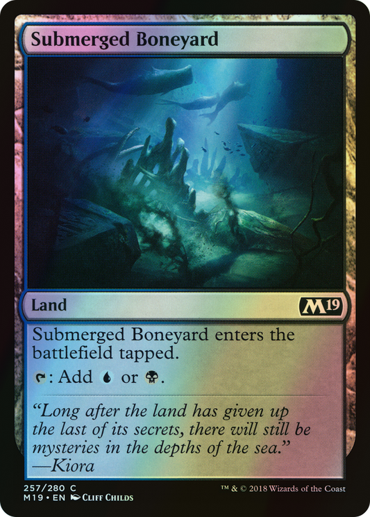 Submerged Boneyard (M19) #257 [EN/F]