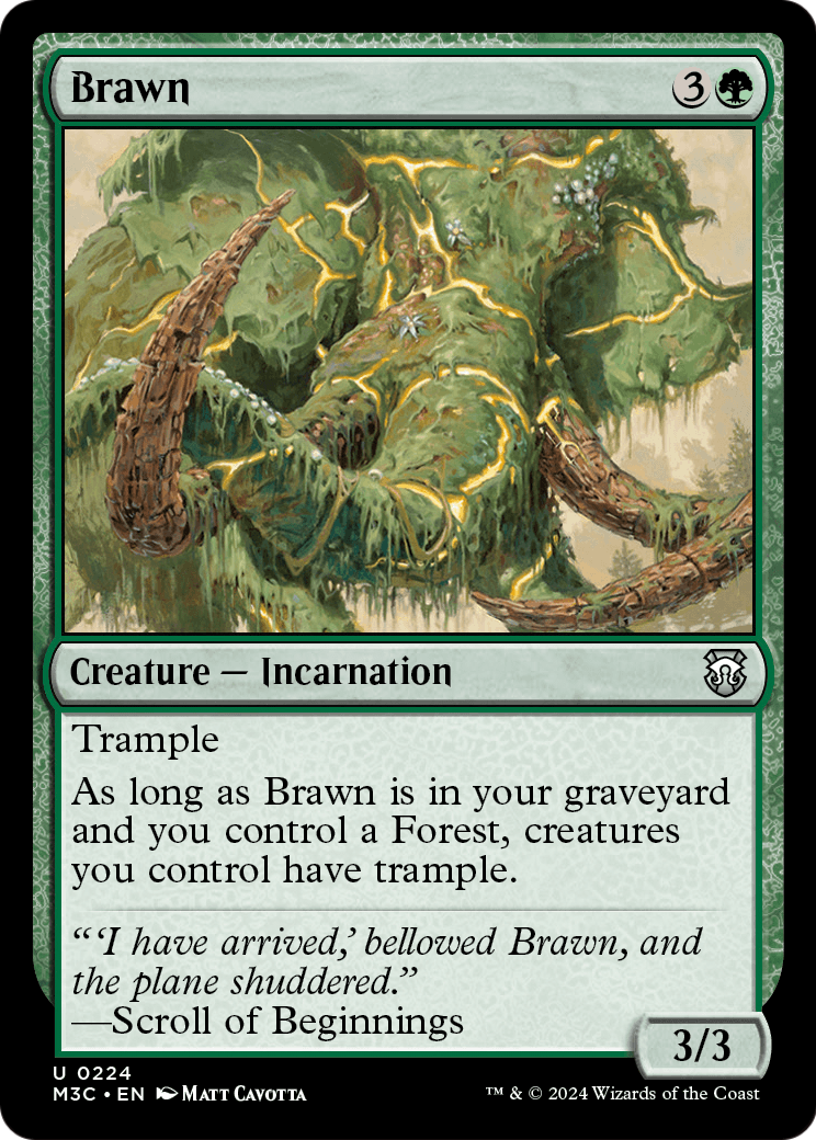 Brawn (M3C) #224 [EN/N]