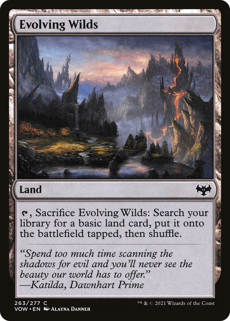 Evolving Wilds (VOW) #263 [EN/N]