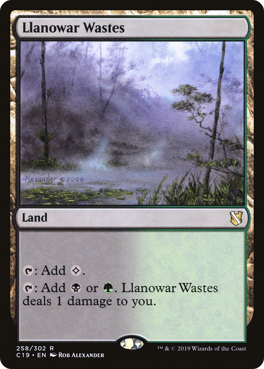 Llanowar Wastes (C19) #258 [EN/N] s/o