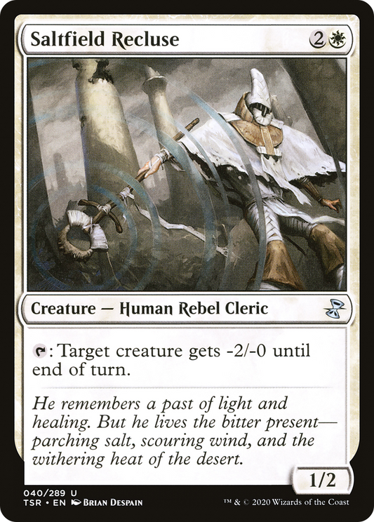 Saltfield Recluse (TSR) #40 [EN/N]