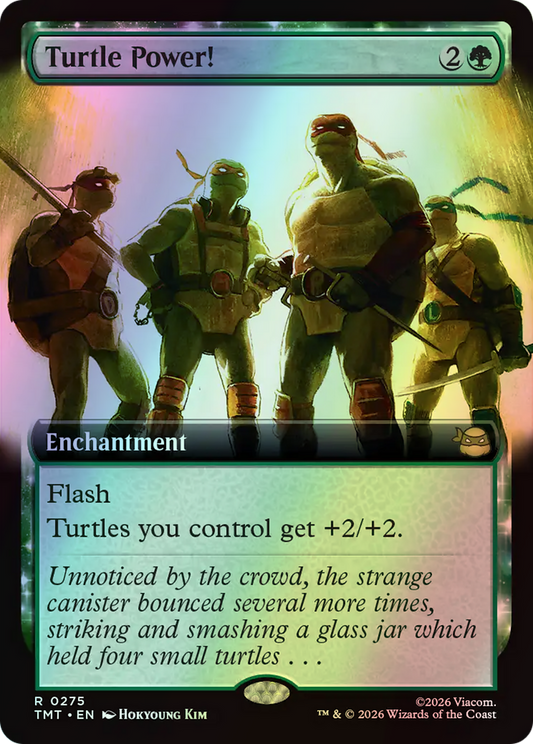 Turtle Power! (TMT) #275 [EN/F]
